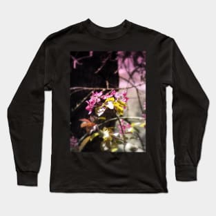 red Malus 'Radiant' crab apple blossoms #5 Long Sleeve T-Shirt